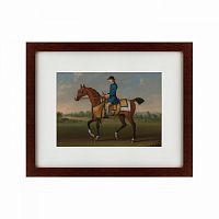 картина: bay racehorse with jockey up, 1730 в Калининграде