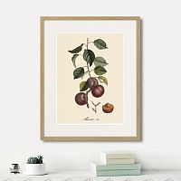 картина: juicy fruit lithography №6, 1870г. в Калининграде