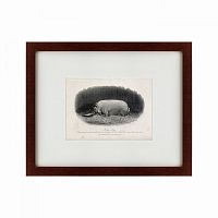 картина: a prize boar, 1867 в Калининграде