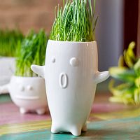 ваза eco тиль в Калининграде