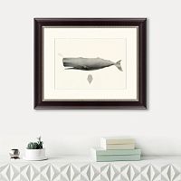 картина: sperm whale (physeter macrocephalus), 1862 в Калининграде