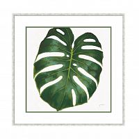 постер monstera зеленый в Калининграде
