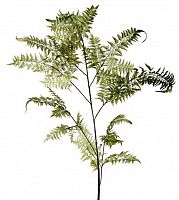 декор fl12056 (giant fern) в Калининграде