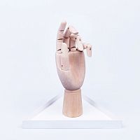 органайзер для украшений the hand белый в Калининграде