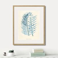 картина: fragmenta botanica №8, 1809г. в Калининграде