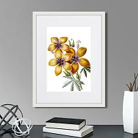 картина: caribian flora yellow hibiscus, 1740г. в Калининграде