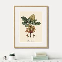 картина: juicy fruit lithography №8, 1870г. в Калининграде