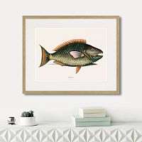 картина: marine life №5, 1725г. в Калининграде