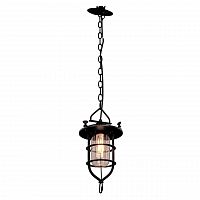 подвесной светильник loft it loft1141 в Калининграде