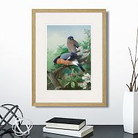 картина: bullfinches, 1915г. в Калининграде