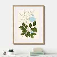 картина: fragmenta botanica №3, 1809г. в Калининграде