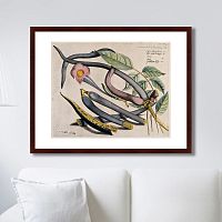 картина: exotic plants of the world №12, 1815г. в Калининграде