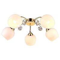 потолочная люстра arte lamp millo a9549pl-5go в Калининграде