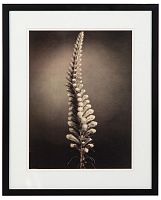 постер с паспарту в раме gentle sepia ver. 5 в Калининграде