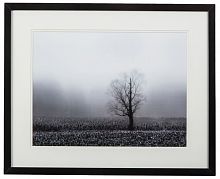 постер с паспарту в раме fog & tree в Калининграде