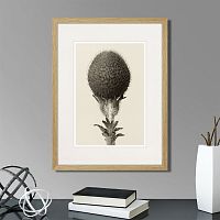 картина: botanical philosophy of forms №6, 1912г. в Калининграде