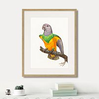 картина: beautiful parrots №8, 1872г. в Калининграде