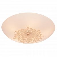 потолочный светильник silver light verbena 835.50.5 в Калининграде