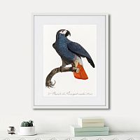 картина: beautiful parrots №5, 1872г. в Калининграде