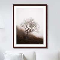 картина: lonely wood в Калининграде