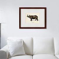 картина: rhinoceros ancienne gravure, 1849 в Калининграде