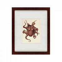 картина: pacific octopus, 1731 в Калининграде