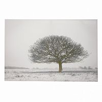 принт wood на подрамнике в Калининграде