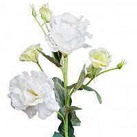 лизиантус белый 77 см (12) в Калининграде