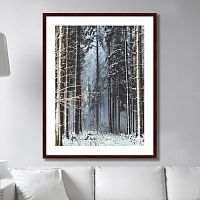 картина: forest, upper austria в Калининграде