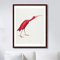 картина: scarlet ibis, 1827г. в Калининграде