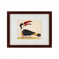 картина: white-throated toucan, 1716 в Калининграде
