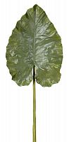 декор giant taro leaf в Калининграде