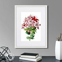 картина: caribian flora red and pink flower, 1740г. в Калининграде