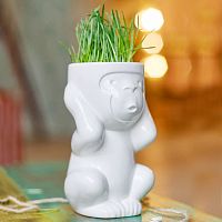 горшок для растений eco игнорик в Калининграде