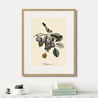 картина: juicy fruit lithography №5, 1870г. в Калининграде