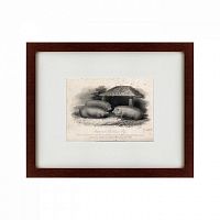 картина: three middlesex pigs, 1848 в Калининграде