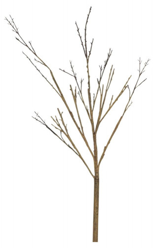 декор twig stem в Калининграде