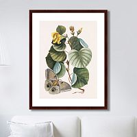 картина: beauty bloom №3, 1732г. в Калининграде