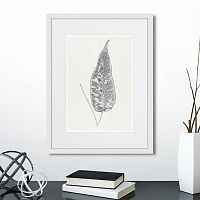 картина: the fern collection №5 в Калининграде