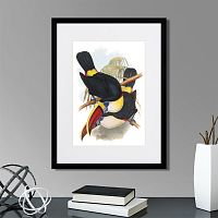 картина: toucans №2, 1849г. в Калининграде