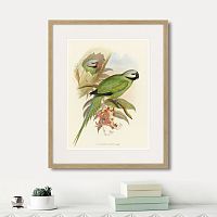 картина: love parrots ii, 1851г. в Калининграде
