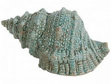 предмет декора статуэтка ракушка seashell в Калининграде