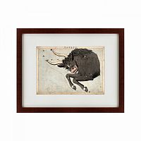 картина: signs of zodiac taurus, 1825 в Калининграде