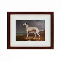 картина: portrait of a greyhound, 1744 в Калининграде