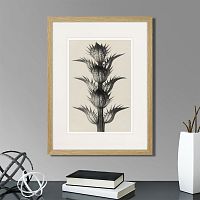 картина: botanical philosophy of forms №7, 1912г. в Калининграде