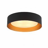 потолочный светильник st luce chio sl392.422.04 в Калининграде