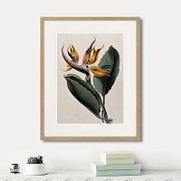 картина: exotic plants of the world №4, 1815г. в Калининграде