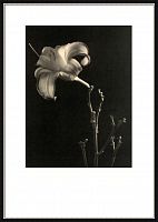 постер с паспарту в раме gentle sepia ver. 6 в Калининграде