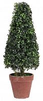 искусственное дерево в горшке topiary в Калининграде