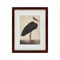картина: black stork in a landscape, индия, 1780 в Калининграде
